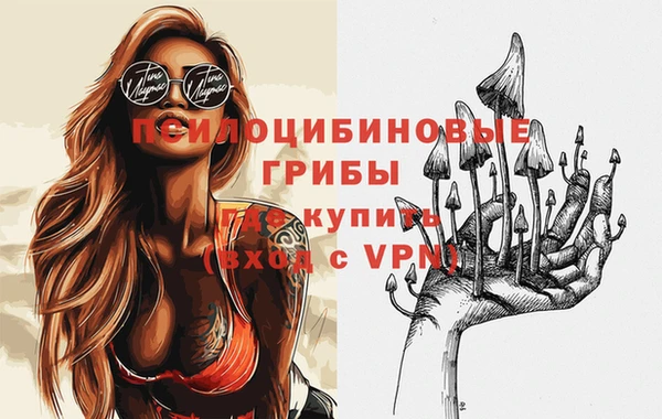 сатива Абдулино