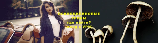 прущая мука Новозыбков