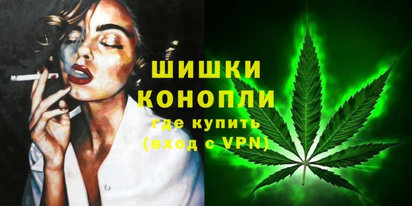 молекула духа Новокубанск