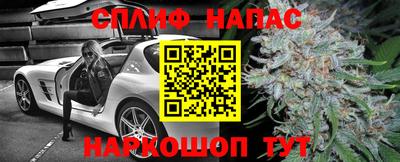 прущие грибы Тверь